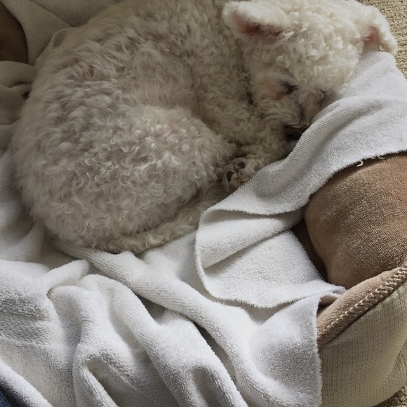 Meet your Posher, Madi - Picture 1 of 1